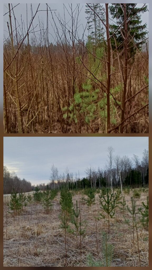 597826468 122103804171155293 7332224664759695934 n