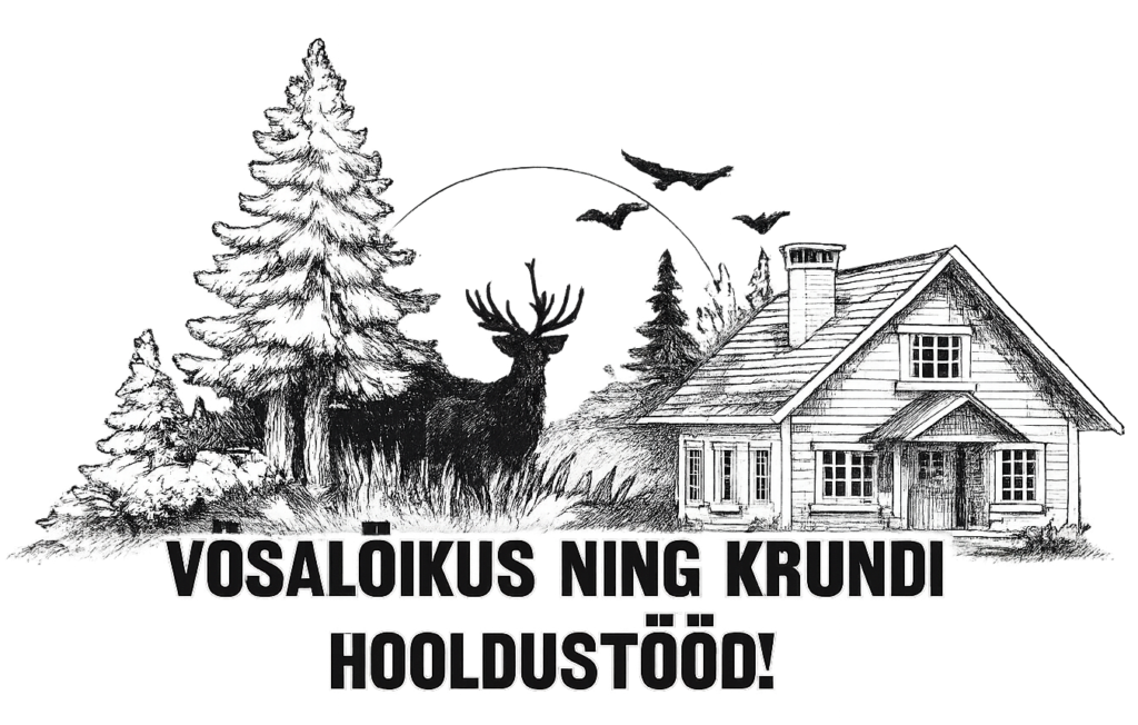 cropped tiptop 1.png