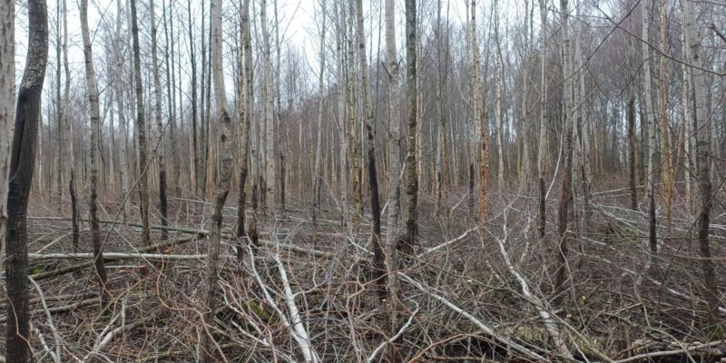 messenger creation e5d6749f 2a2b 4656 ad3d 18e9a1d6ac2f 2